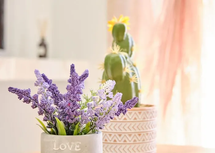 Doreta's House Elia Veria (Imathia)